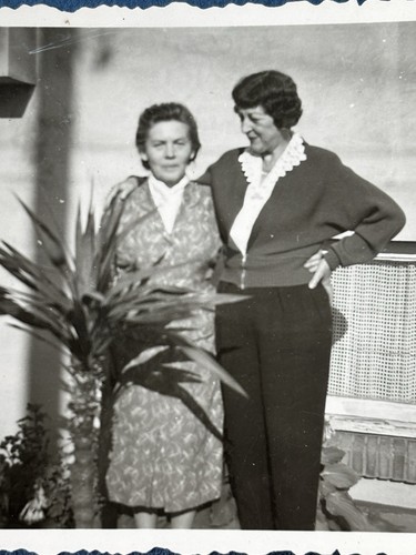 Foto frauen garten - frauen,